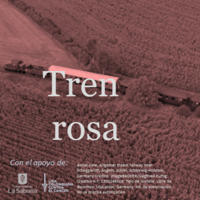 Tren rosa