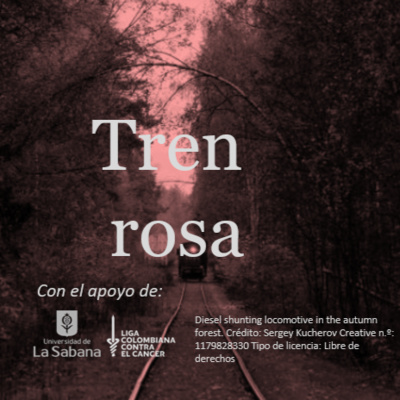 Tren rosa