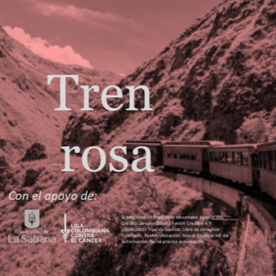 Tren rosa