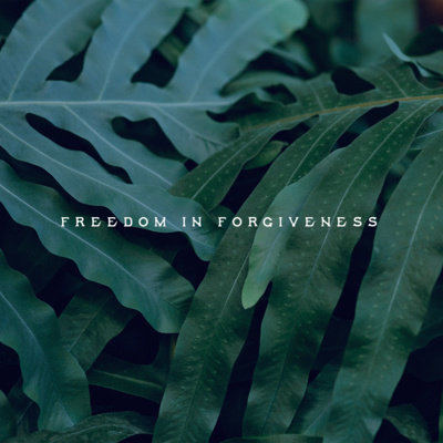 "Freedom In Forgiveness" - A Study Of Colossians Part 3