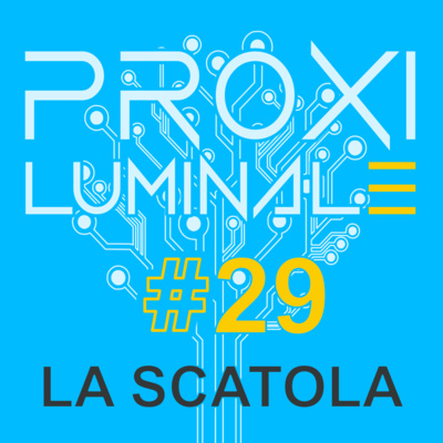 #29 La Scatola