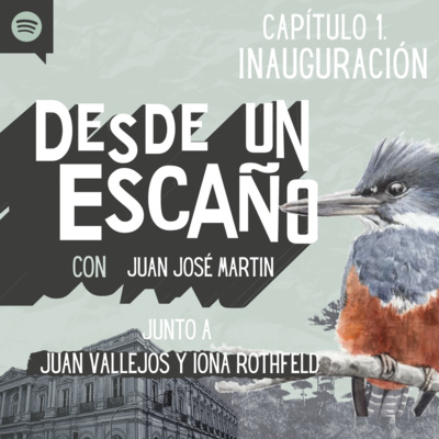 Desde un Escaño de la Convención