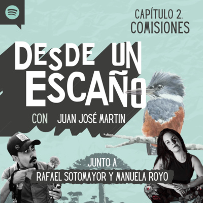 Desde un Escaño de la Convención
