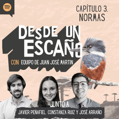 Desde un Escaño de la Convención