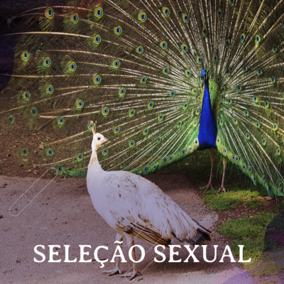 E Bicho faz isso?