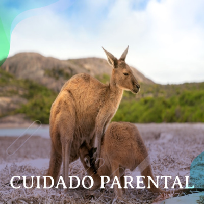 Cuidado Parental com Glauco Machado
