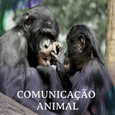 Comunicação Animal - Patrícia Monticelli