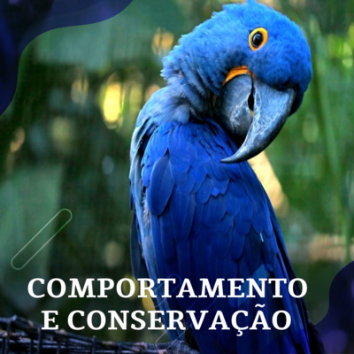 E Bicho faz isso?
