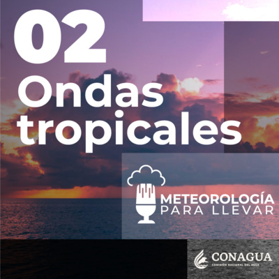 Meteorología para llevar