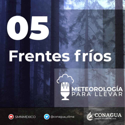 Meteorología para llevar
