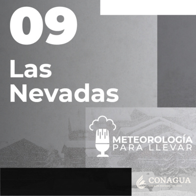 Meteorología para llevar
