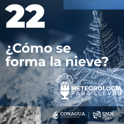 Meteorología para llevar