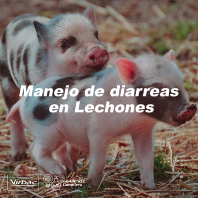 Con-Ciencia Ganadera