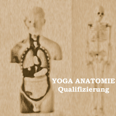 Yoga und Anatomie leicht erklärt