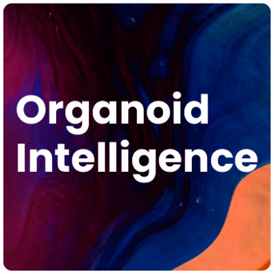 Organoid Intelligence