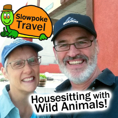 Slowpoke Travel Podcast