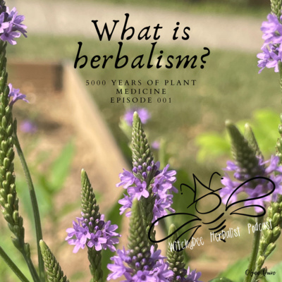 What is Herbalism? 5000 Years of Plant Medicine - Episode 001 What is Herbalism? 5000 Years of Plant Medicine - Episode 001