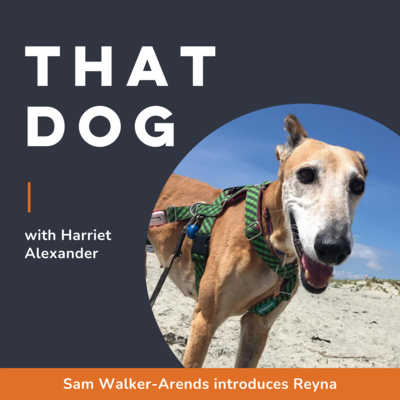 Becoming your dog's anchor with Sam Walker-Arends (UK)