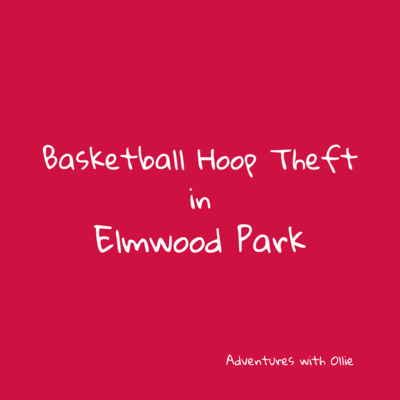 Basketball Hoop Theft in Elmwood Park