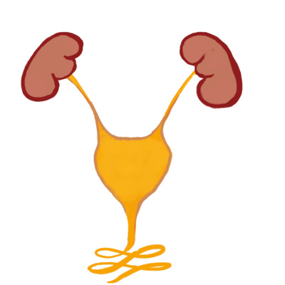 Post-operative Urinary Retention episode artwork