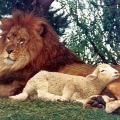 Episode 63: From Brennan Manning's "Lion and Lamb"