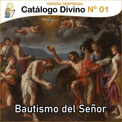Catálogo divino - la vida de los santos 🙏🏼