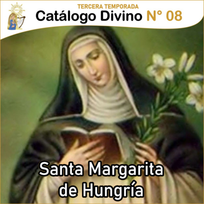 Catálogo divino - la vida de los santos 🙏🏼