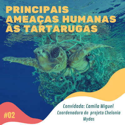 #02 - Principais ameaças humanas às tartarugas
