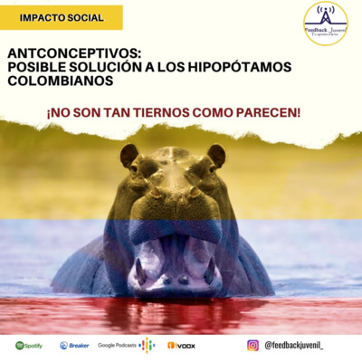 Feedback Juvenil