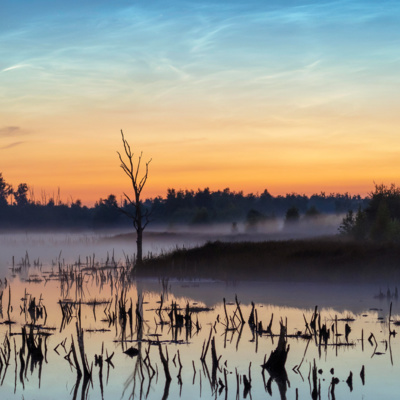 1: Mijn geliefde vadertje…