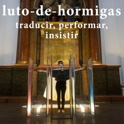 luto-de-hormigas/ants-mourning