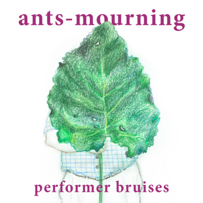 luto-de-hormigas/ants-mourning