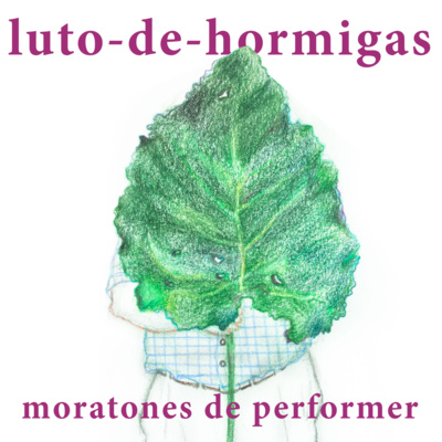 luto-de-hormigas/ants-mourning