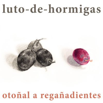 luto-de-hormigas/ants-mourning
