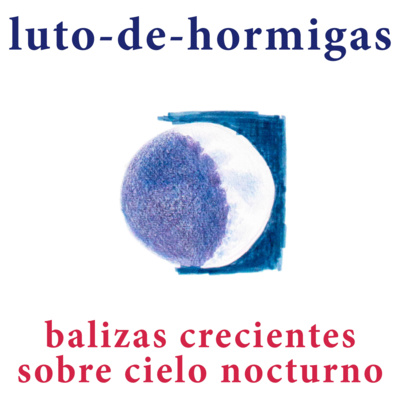 luto-de-hormigas/ants-mourning