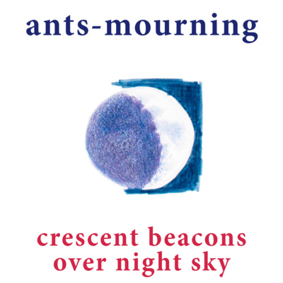 luto-de-hormigas/ants-mourning