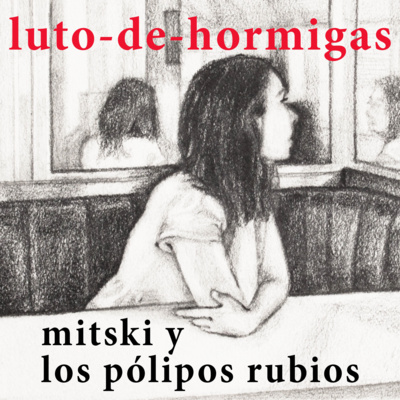 luto-de-hormigas/ants-mourning