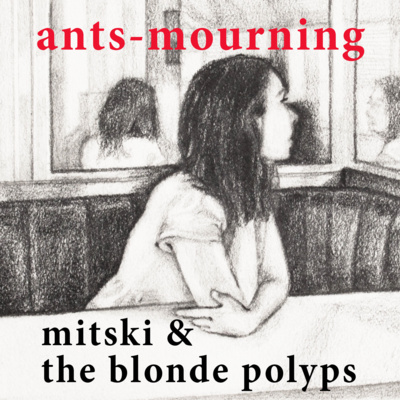 luto-de-hormigas/ants-mourning