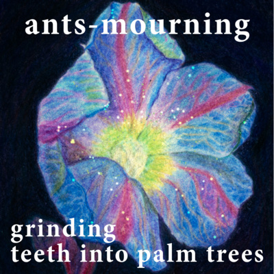 luto-de-hormigas/ants-mourning