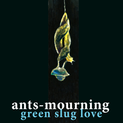 luto-de-hormigas/ants-mourning
