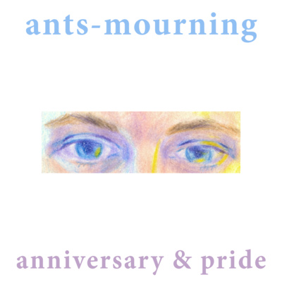 luto-de-hormigas/ants-mourning
