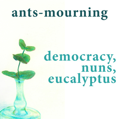 luto-de-hormigas/ants-mourning