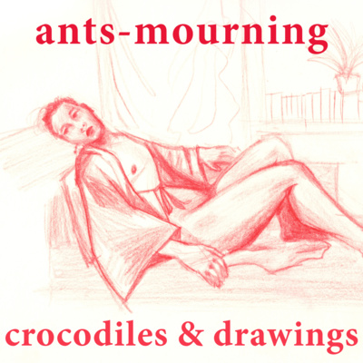 luto-de-hormigas/ants-mourning