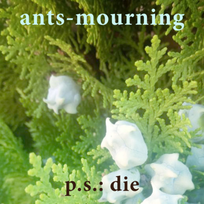 luto-de-hormigas/ants-mourning