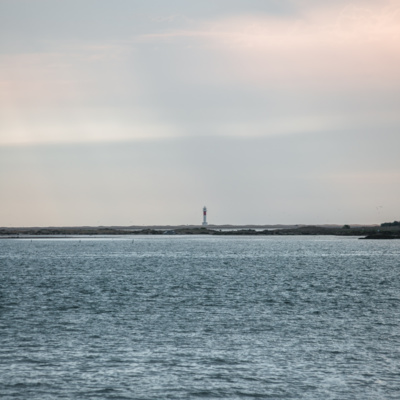 Épisode 1 : La Nouvelle Zélande