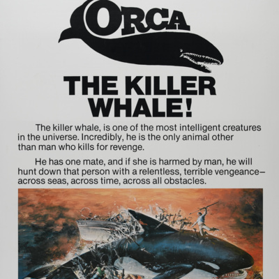 Orca episode artwork