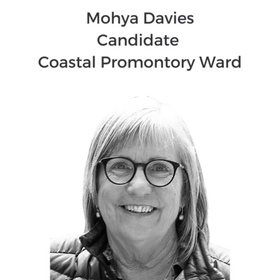 South Gippsland Shire Council Pre Election Interviews OCT 2021 - Meet your Councillors