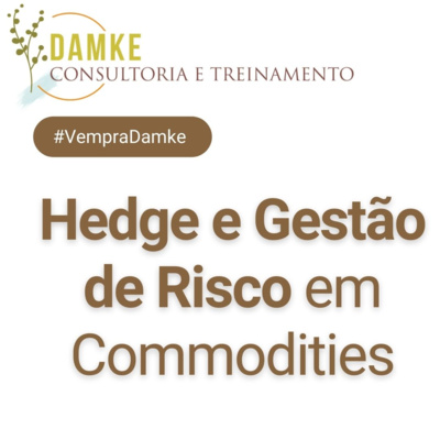 Damke Consultoria e Treinamento
