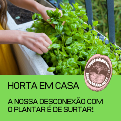 EcoSurto