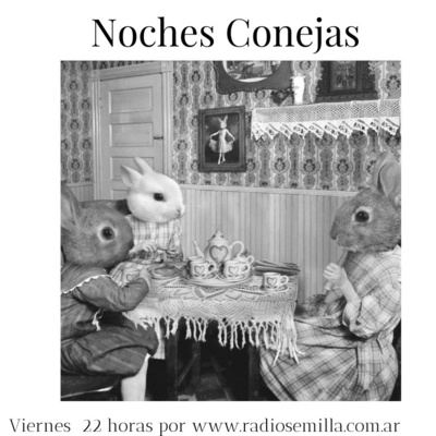 Noches Conejas